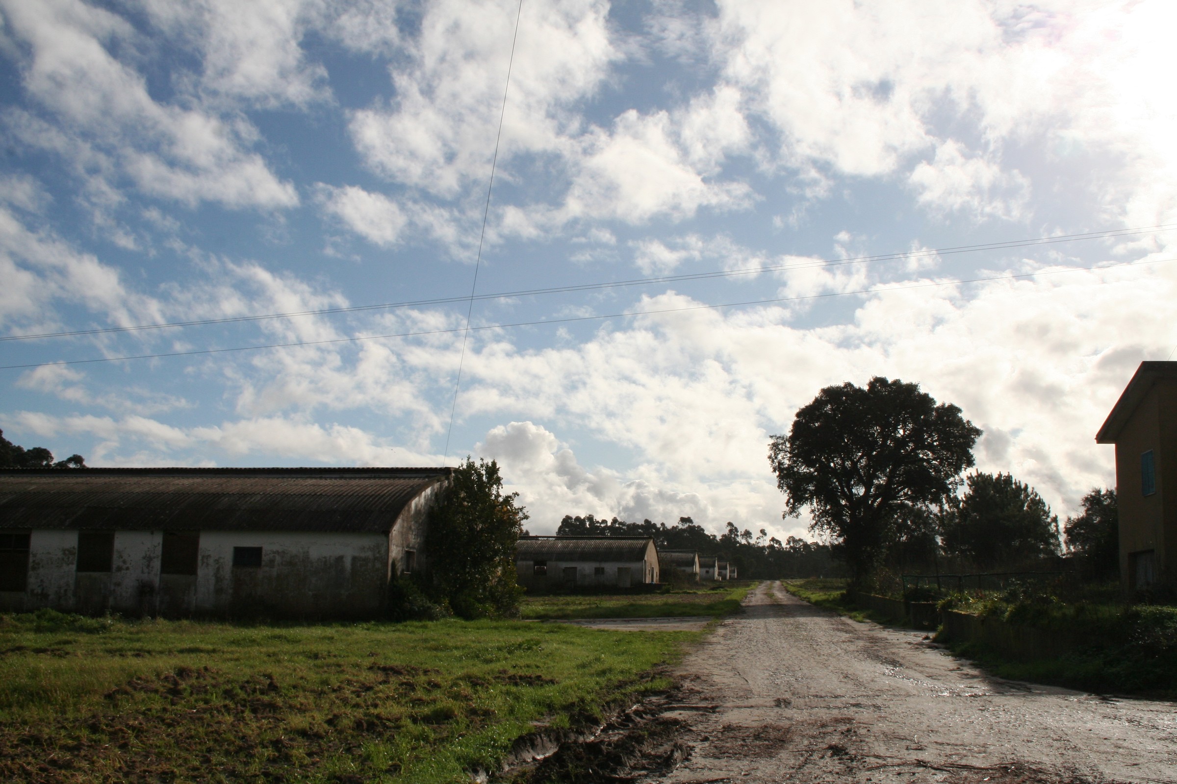 Campos agrícolas a poente da cidade de Ílhavo e a sudoeste de Vale de Ílhavo