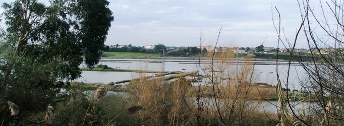 Praias de vaza e de lodo do Canal do Boco, margem poente
