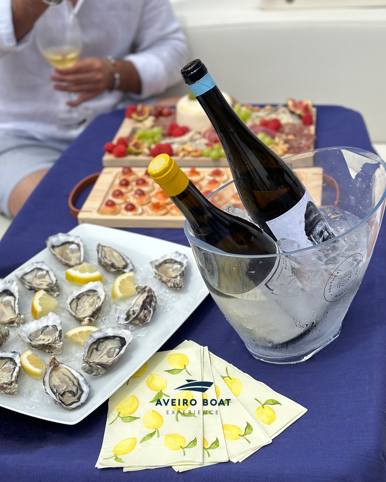 Wine Tour a bordo, com a Aveiro Boat Experience